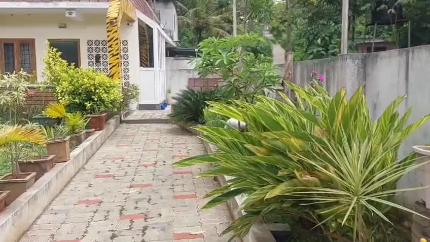 Garden pathway leading to the homestay in daylight.