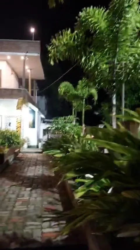 Portrait view of the homestay and garden at night.